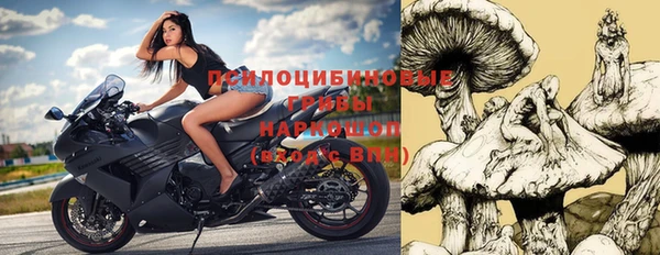 стаф Арсеньев