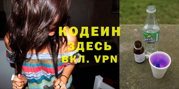 стаф Арсеньев