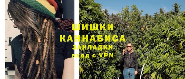 стаф Арсеньев