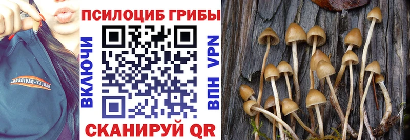 Галлюциногенные грибы Magic Shrooms Углегорск